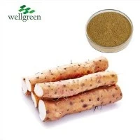 Wild Yam útdráttarduft